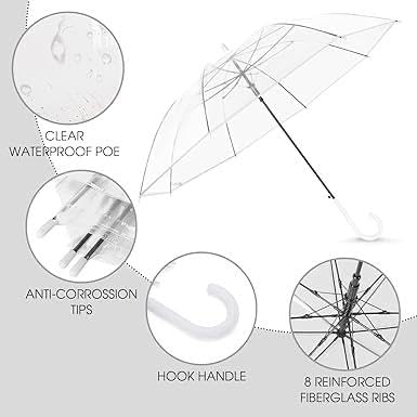 Jpwels Rainbow Travel Umbrella, Auto Open Close, Windproof, Teflon Coated (Transparent Umbrella)