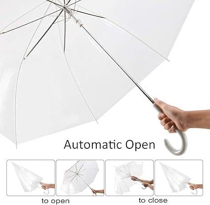 Jpwels Rainbow Travel Umbrella, Auto Open Close, Windproof, Teflon Coated (Transparent Umbrella)